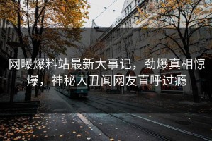 网曝爆料站最新大事记，劲爆真相惊爆，神秘人丑闻网友直呼过瘾