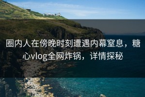 圈内人在傍晚时刻遭遇内幕窒息，糖心vlog全网炸锅，详情探秘