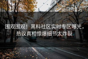 围观围观！黑料社区实时专区曝光，热议真相惊爆细节太炸裂