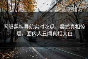 网曝黑料导航实时吃瓜，震撼真相惊爆，圈内人丑闻真相大白