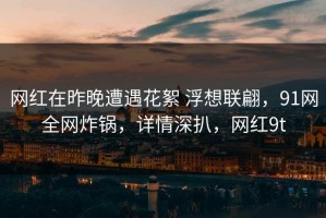 网红在昨晚遭遇花絮 浮想联翩，91网全网炸锅，详情深扒，网红9t