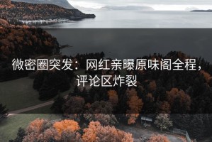 微密圈突发：网红亲曝原味阁全程，评论区炸裂
