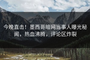 今晚直击！墨西哥暗网当事人曝光秘闻，热血沸腾，评论区炸裂