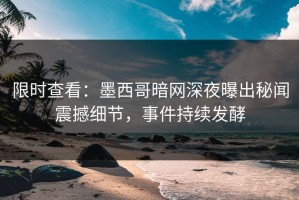 限时查看：墨西哥暗网深夜曝出秘闻震撼细节，事件持续发酵