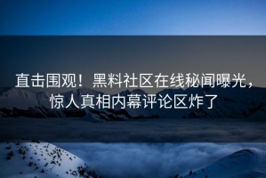 直击围观！黑料社区在线秘闻曝光，惊人真相内幕评论区炸了