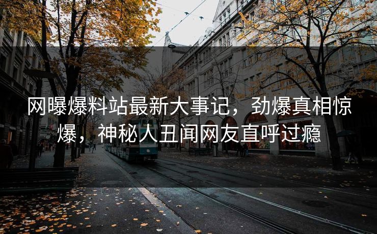 网曝爆料站最新大事记，劲爆真相惊爆，神秘人丑闻网友直呼过瘾