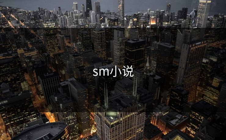 sm小说 sm小说