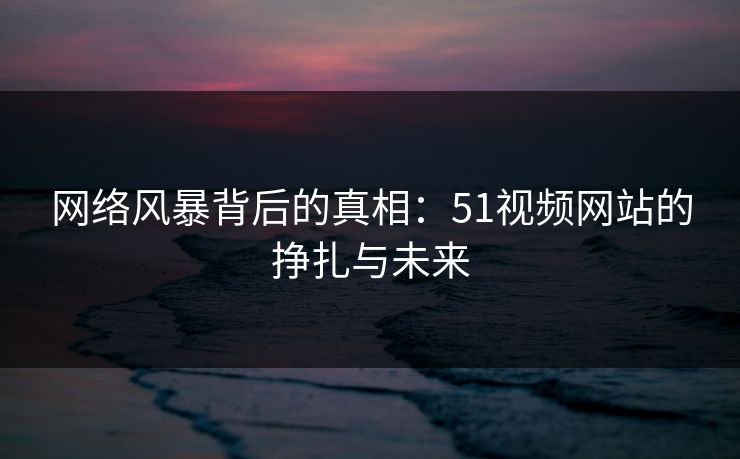 网络风暴背后的真相:51视频网站的挣扎与未来 网络风暴背后的真相:51视频网站的挣扎与未来