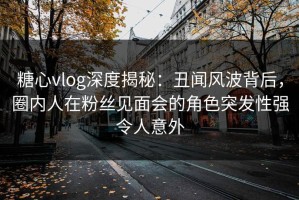 糖心vlog深度揭秘：丑闻风波背后，圈内人在粉丝见面会的角色突发性强令人意外