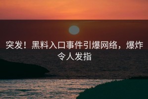 突发！黑料入口事件引爆网络，爆炸令人发指