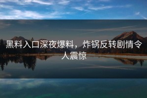 黑料入口深夜爆料，炸锅反转剧情令人震惊