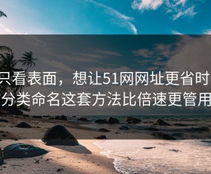 别只看表面，想让51网网址更省时间：分类命名这套方法比倍速更管用