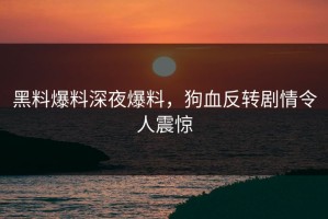 黑料爆料深夜爆料，狗血反转剧情令人震惊