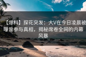 【爆料】探花突发：大V在今日凌晨被曝曾参与真相，揭秘席卷全网的内幕风暴