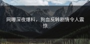 网曝深夜爆料，狗血反转剧情令人震惊