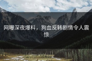 网曝深夜爆料，狗血反转剧情令人震惊