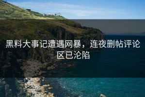 黑料大事记遭遇网暴，连夜删帖评论区已沦陷