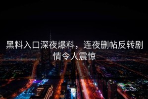 黑料入口深夜爆料，连夜删帖反转剧情令人震惊