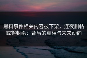 黑料事件相关内容被下架，连夜删帖或将封杀：背后的真相与未来动向