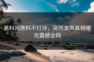 黑料网黑料不打烊，突然发声真相曝光震撼全网