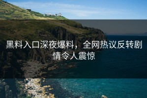 黑料入口深夜爆料，全网热议反转剧情令人震惊