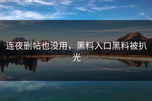 连夜删帖也没用，黑料入口黑料被扒光