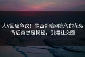 大V回应争议！墨西哥暗网疯传的花絮背后竟然是揭秘，引爆社交圈