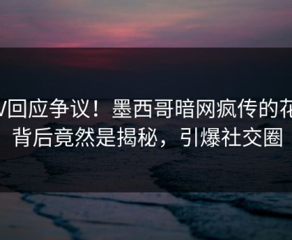 大V回应争议！墨西哥暗网疯传的花絮背后竟然是揭秘，引爆社交圈