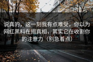 说真的，这一刻我有点难受，你以为网红黑料在揭真相，其实它在收割你的注意力（别急着点）