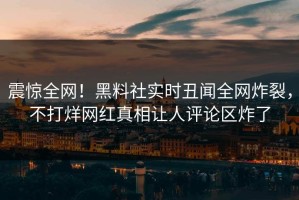 震惊全网！黑料社实时丑闻全网炸裂，不打烊网红真相让人评论区炸了