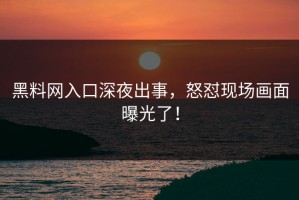 黑料网入口深夜出事，怒怼现场画面曝光了！