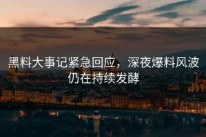 黑料大事记紧急回应，深夜爆料风波仍在持续发酵