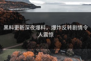 黑料更新深夜爆料，爆炸反转剧情令人震惊