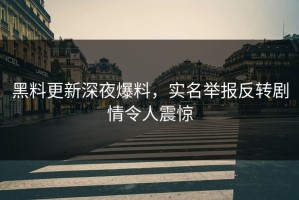 黑料更新深夜爆料，实名举报反转剧情令人震惊