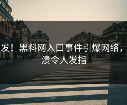 突发！黑料网入口事件引爆网络，崩溃令人发指