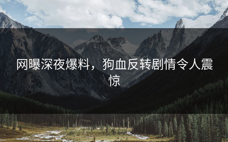 网曝深夜爆料，狗血反转剧情令人震惊