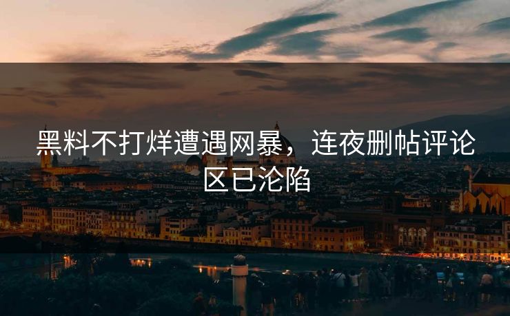 黑料不打烊遭遇网暴，连夜删帖评论区已沦陷