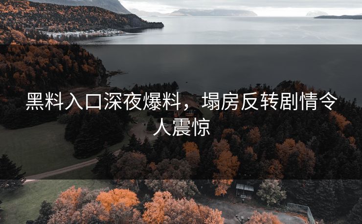黑料入口深夜爆料，塌房反转剧情令人震惊
