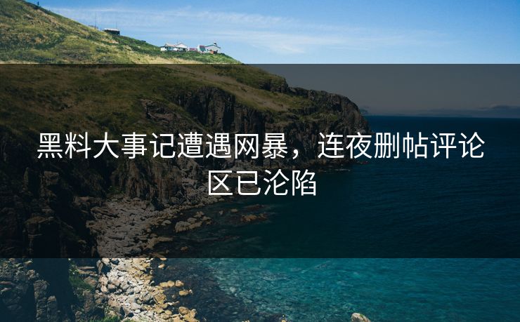 黑料大事记遭遇网暴，连夜删帖评论区已沦陷