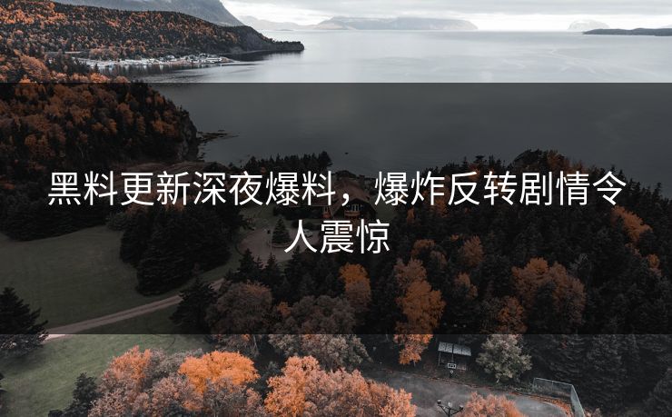 黑料更新深夜爆料，爆炸反转剧情令人震惊