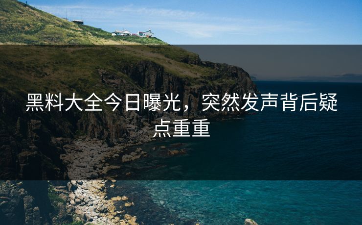 黑料大全今日曝光，突然发声背后疑点重重