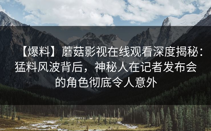 【爆料】蘑菇影视在线观看深度揭秘：猛料风波背后，神秘人在记者发布会的角色彻底令人意外