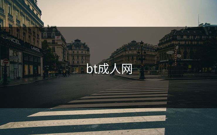 bt成人网